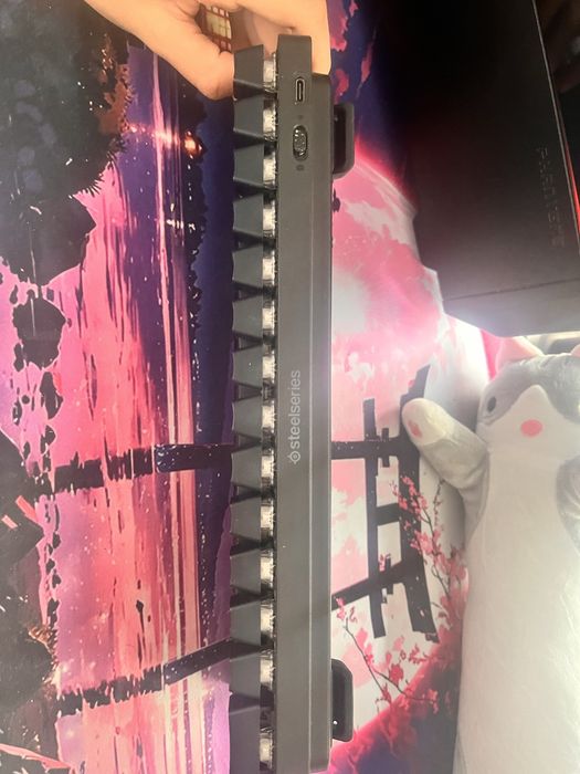 Tastatura Apex pro mini WL