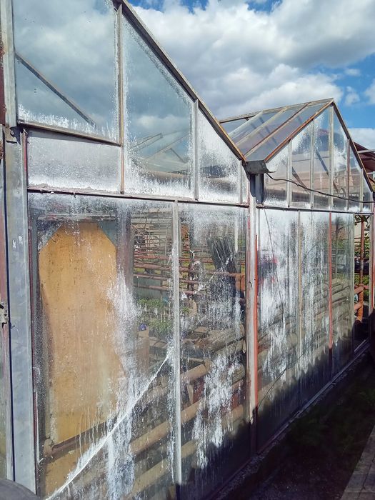 Стъклена оранжерия