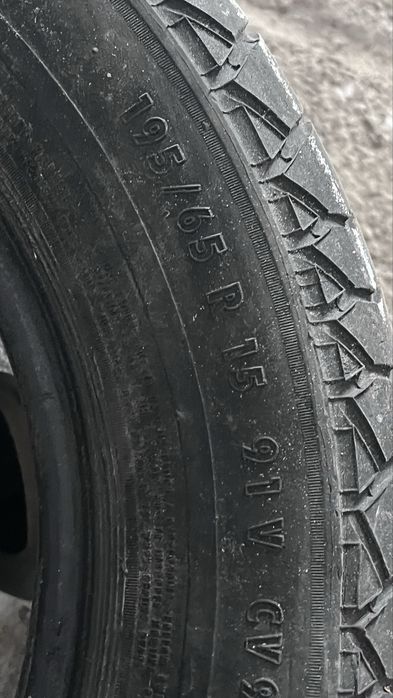 continal хорошый болан 1 штука