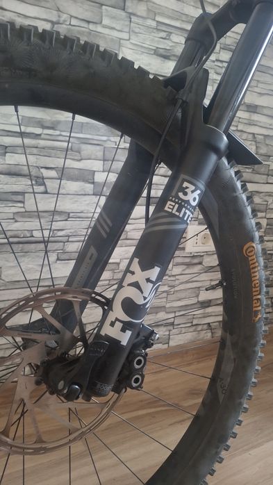 Vand fox 36 elite performance