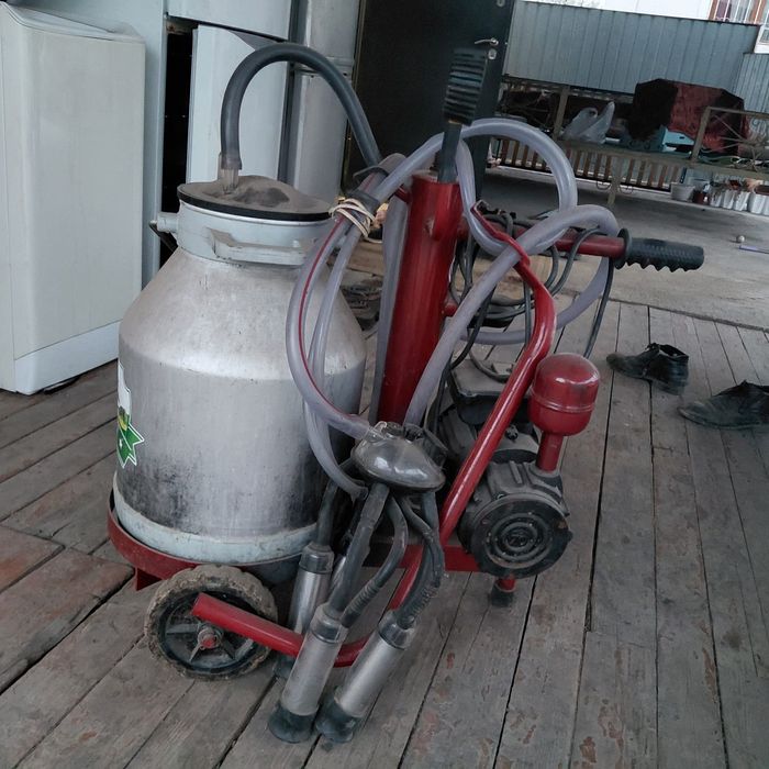 Доильный аппарат