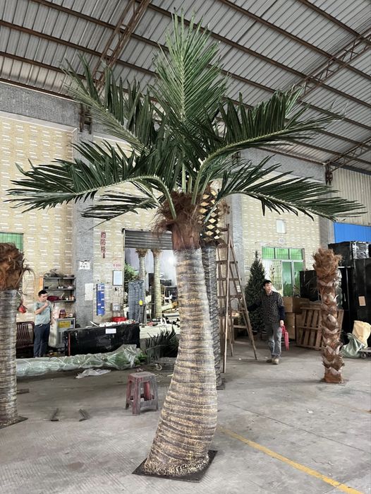 Продам декаративные деревья Пальма 3 штуки и Красное дерево под Сакуру