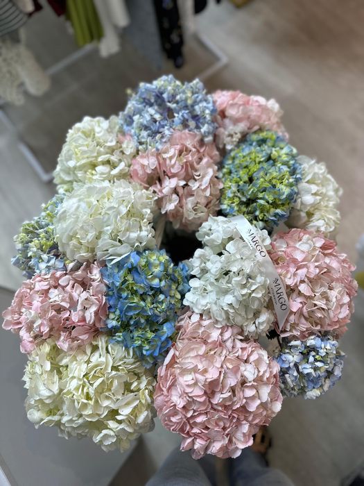 Идеальное комбо гартензии продается