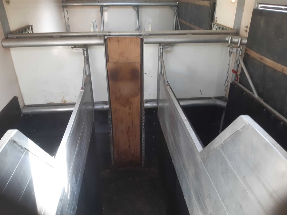 Mercedes Camion cai transport