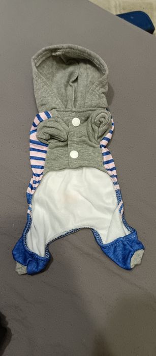 Одежда для маленькой собачки.