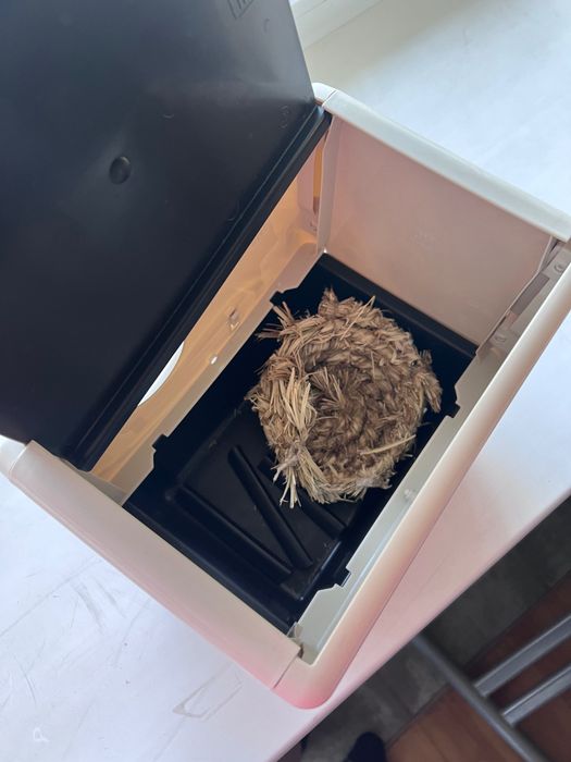 Домик для попугаев