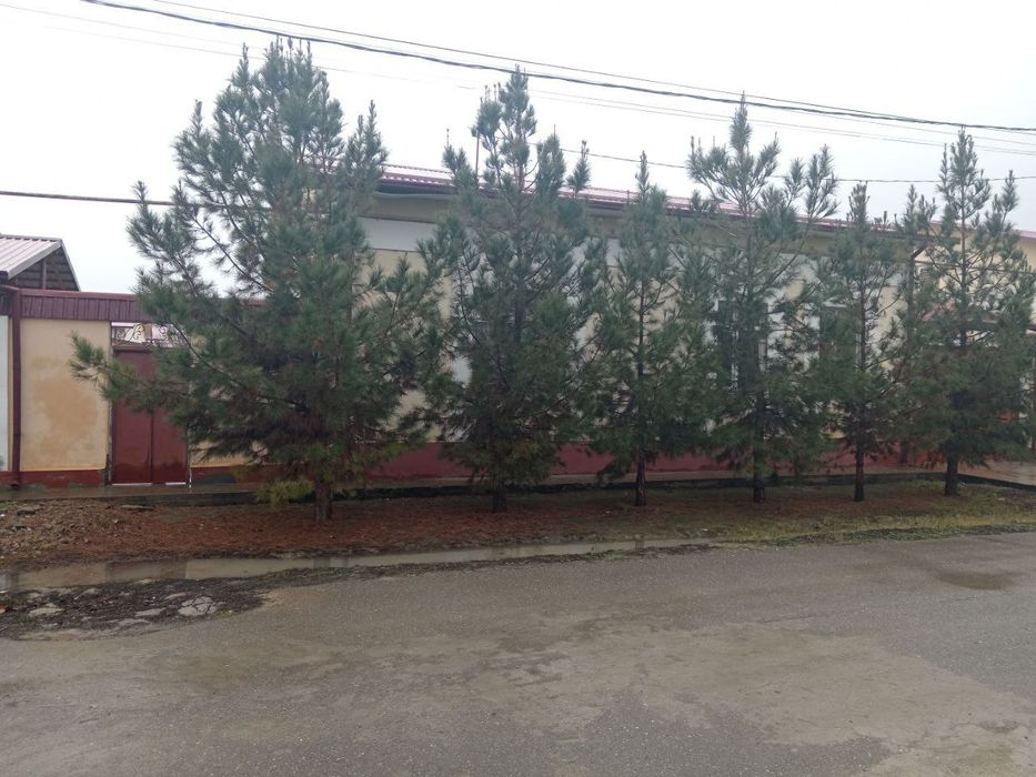 Жиззах Ш. Рашидовда коттедж уй сотилади