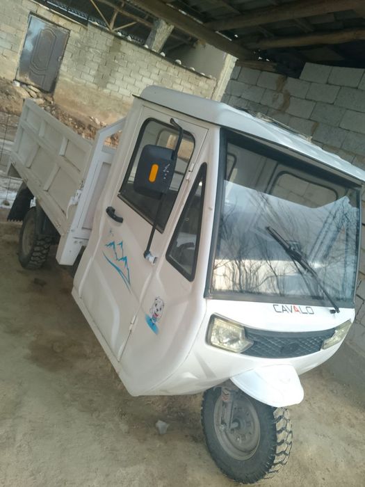 Бензинли муравей/матарол