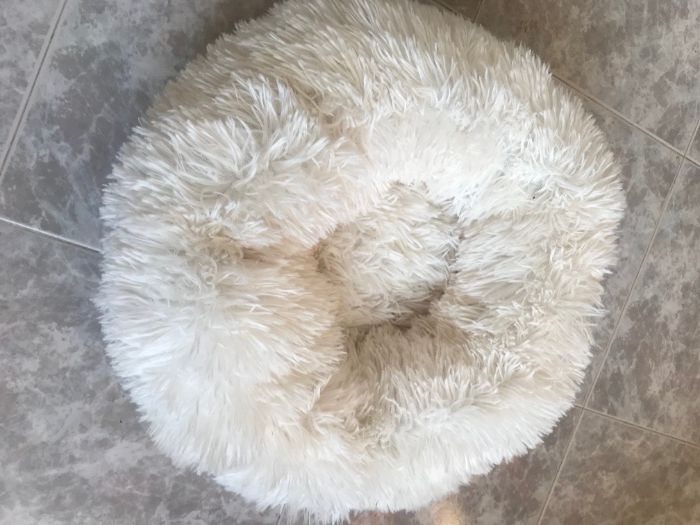 Продавам елегантно легло за котка