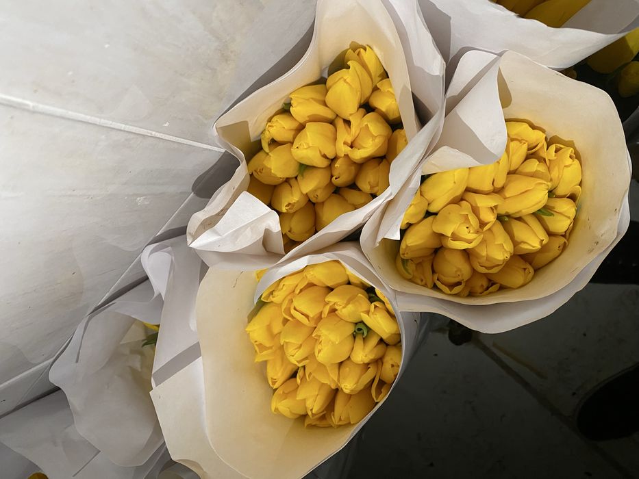 Тюльпаны по 500 тг