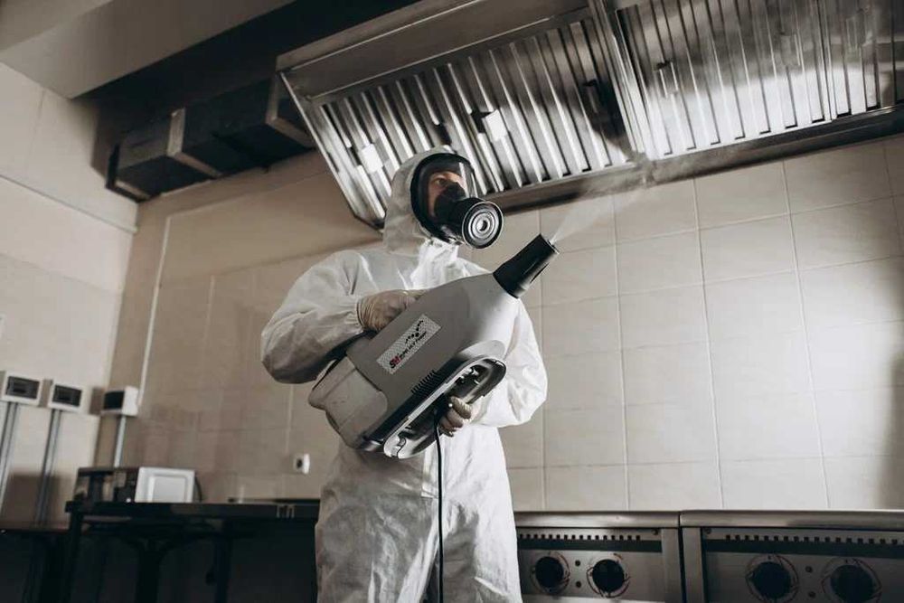 Dezinfeksiya tarakan таракан блох клопов полное уничтожение