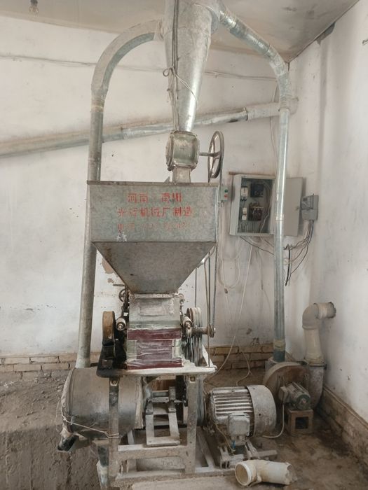 Xoraz va bugdoy chanchush opeati