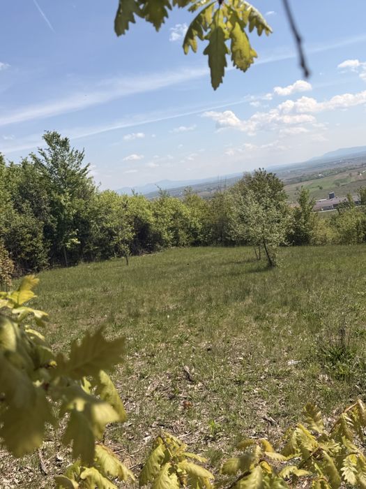 Buzesti 14 ari 25 minute din Baia Mare
