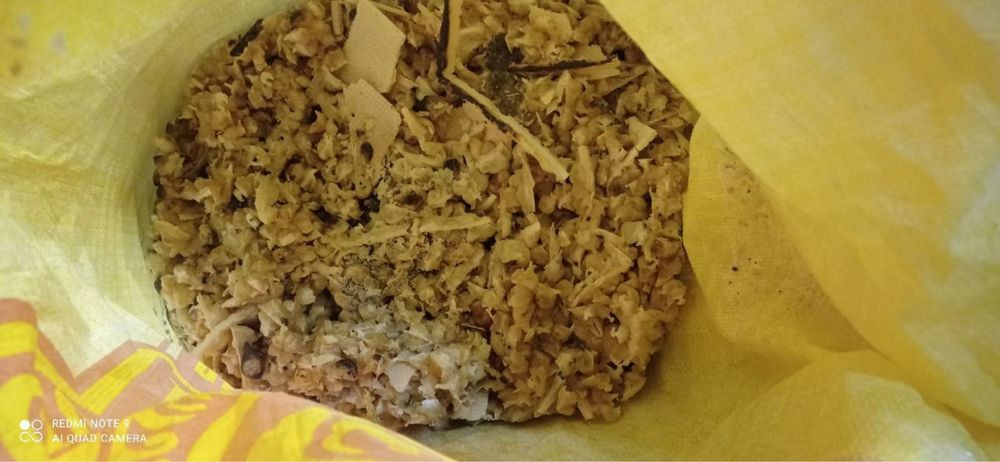 Yem mollar qoylar uchun