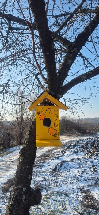 Casute pasari ,din lemn, hand made