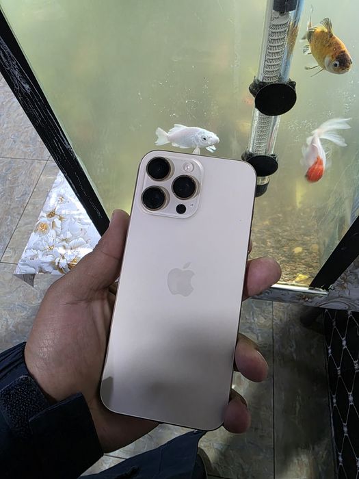 Phone 16 pro max
