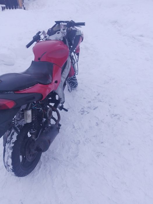 Продается педа Хорнет в2