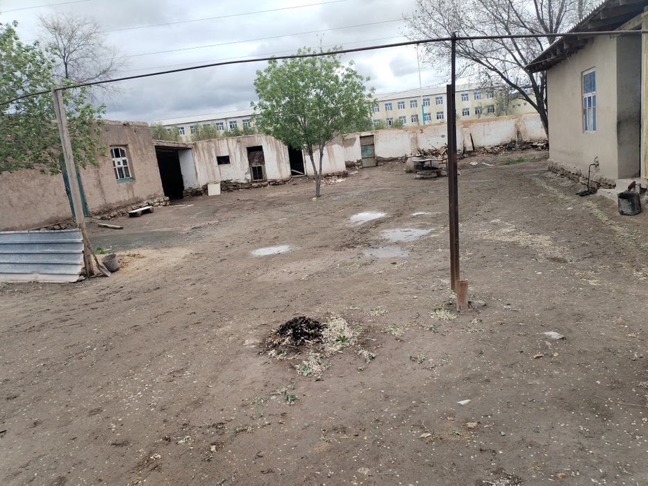 Конгырат сапхазда жай сатылади