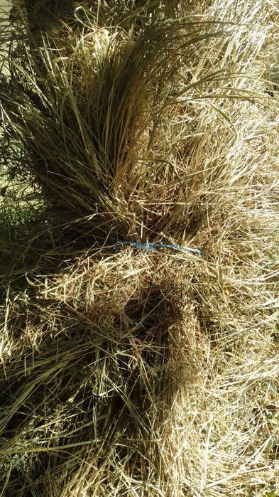 Беда сотилади бу имкониятни кулдан бой берманг!