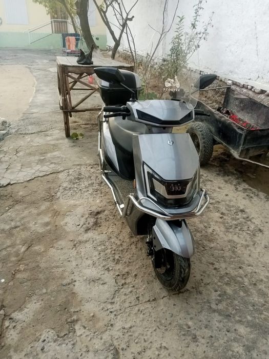 2 oykafolat beriladi