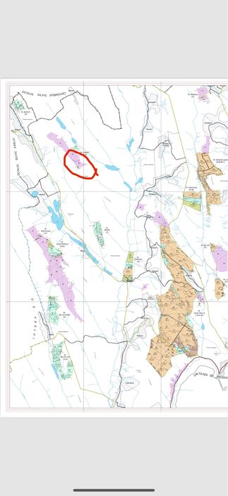 Vând pădure matură