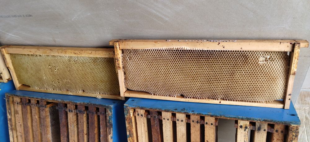 Vând rame albine  clădite Dadant 1/1 și 1/2
