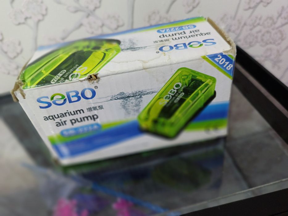 Baliqlar uchun akvarium