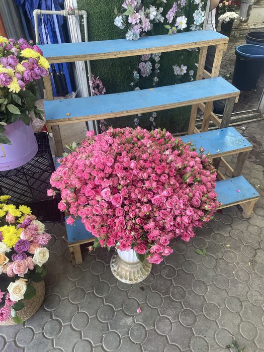 Спрей розы 101 ветк