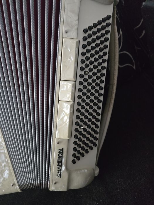 Acordeon Hohner champion 120 basii
