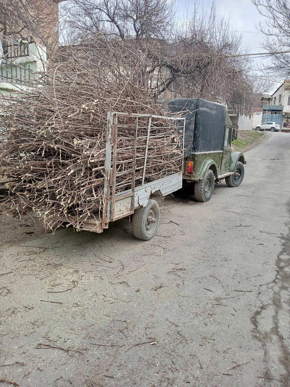 Дарахт кесиш/ Спил деревьев, обрезка деревьев, вырубка кустарников - Уборка  / Вывоз мусора / Дезинфекция Ташкент на Olx