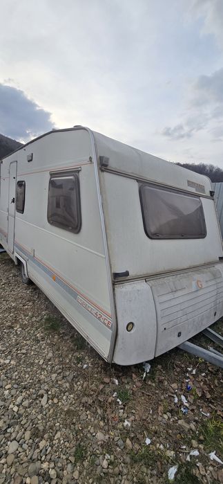 Rulota Gruau inmatriculata