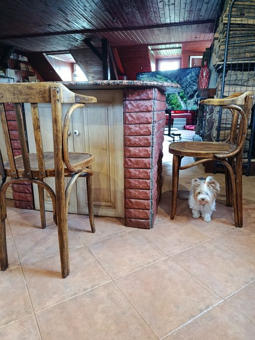 Столове Тонет,реставрирани