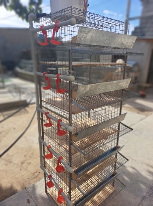 Клетка для перепелов