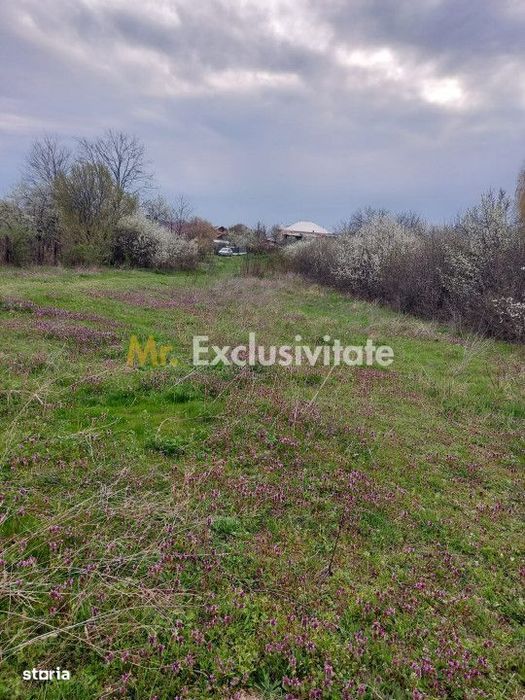 Teren Topoloveni - 3670 mp - langa padure, aproape de Centrul orasului