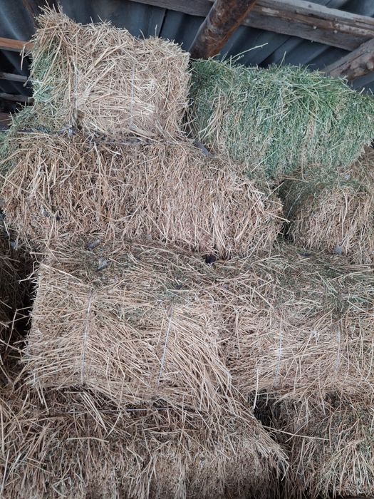 Жонышка прес Сатылады