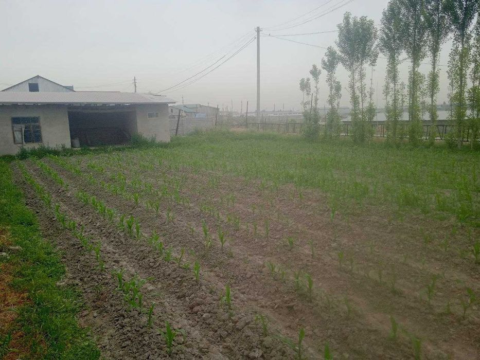 Yer uchastka 6 sotix