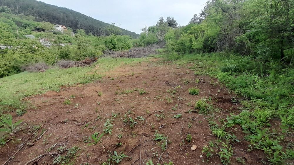 Панорамен парцел