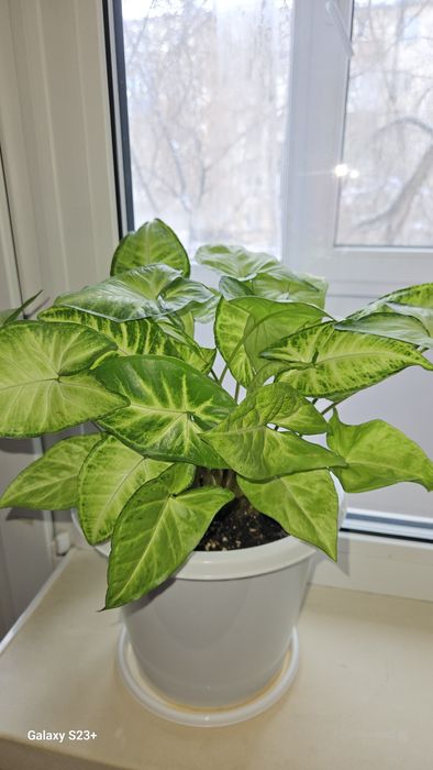 Скидка от 1500тг продам