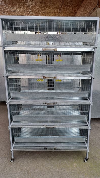 Клетка для кур несушек