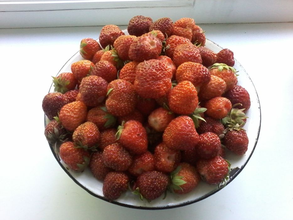 Продам саженцы