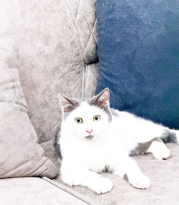 Мальчик 6 месяцев