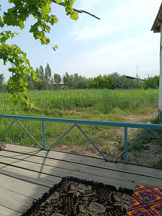 Жуеры отын озыныз шауып аласыз