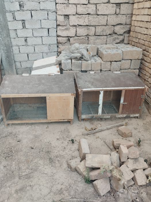Quyon ini sotiladi