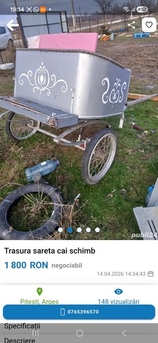 Trasura sareta functionala