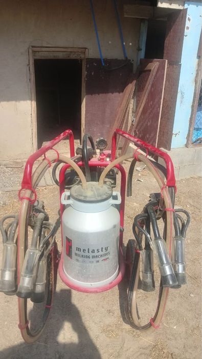 Двойной доильный аппарат