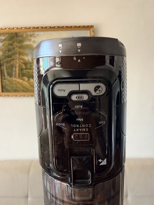 Rowenta X-force flex 13,60