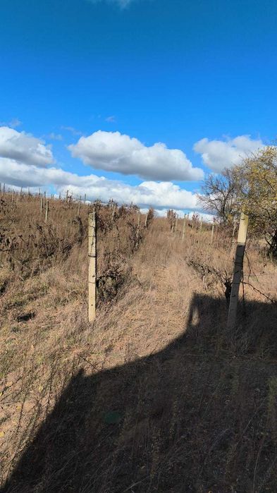 Casa de vanzare valea lui mihai