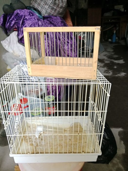 Клетки для птиц.