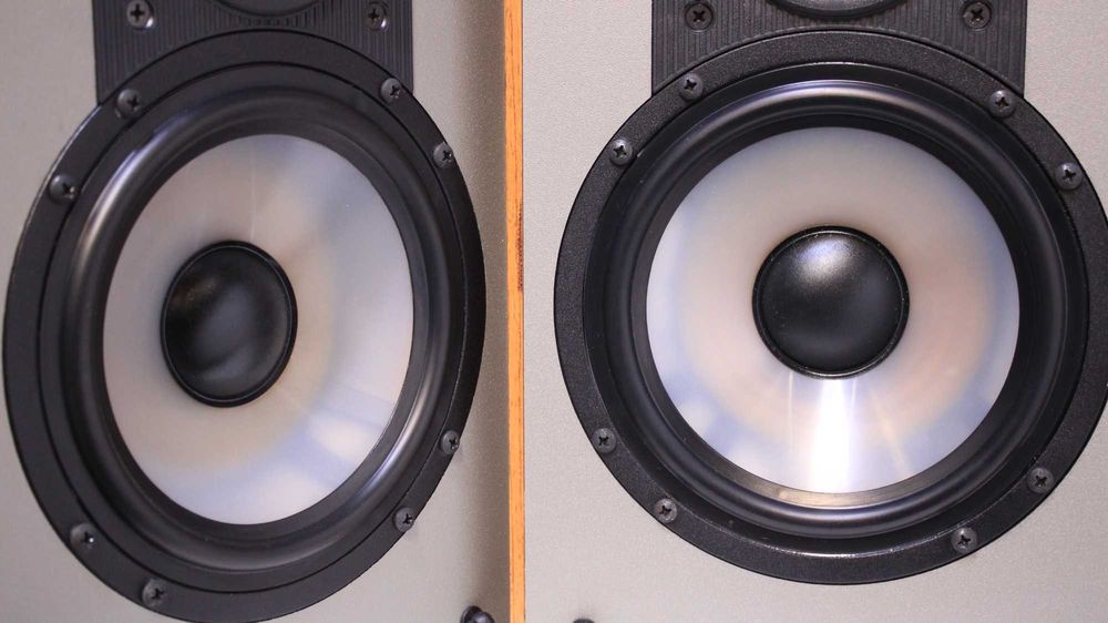 Boxe raft Paradigm Mini Monitor V1.