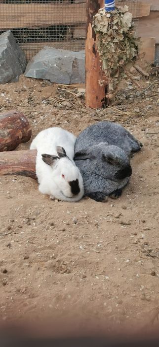 Дом A-frame в Актау